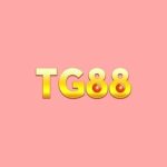 Profile picture of TG88LOCKER